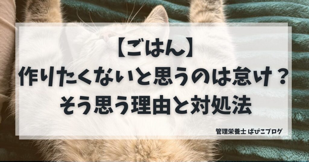 料理を「作りたくない」と思うのは怠けではなく、休息が必要なサインであることを示す猫の画像