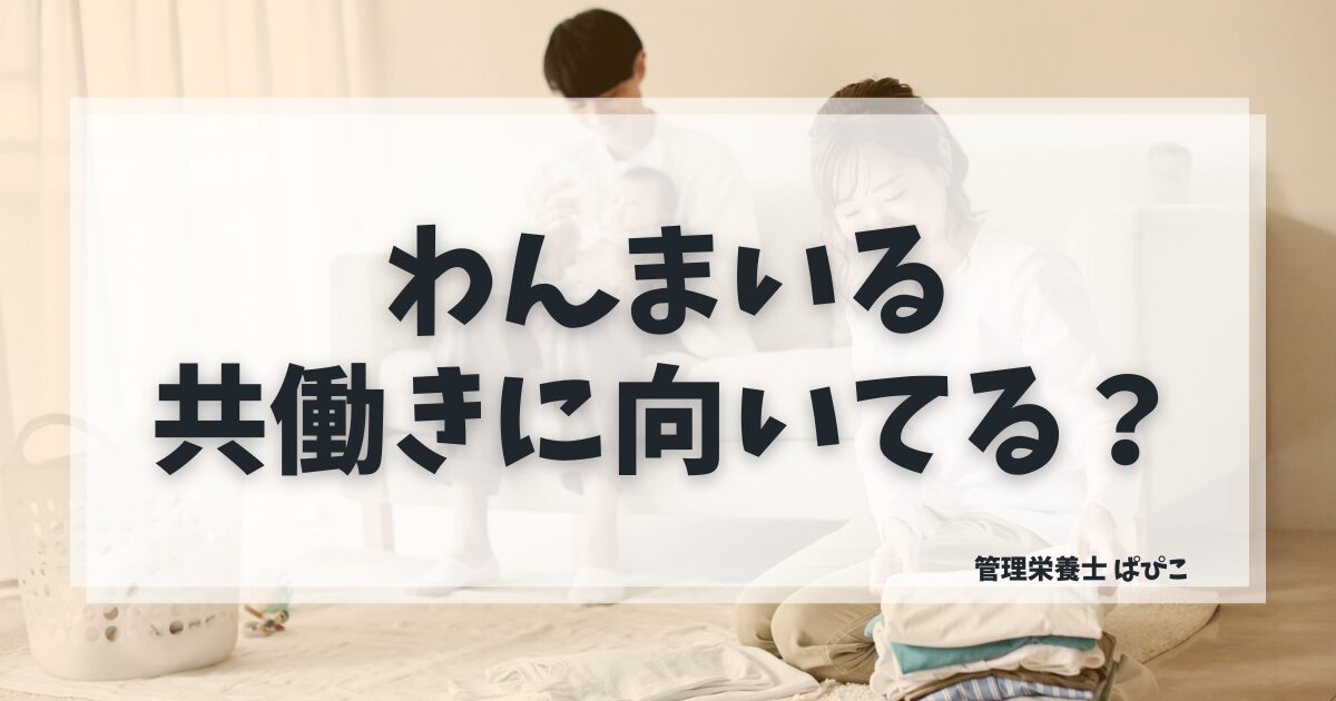わんまいるが共働き家庭に向いている理由と使い方を管理栄養士ぱぴこが解説するブログ記事