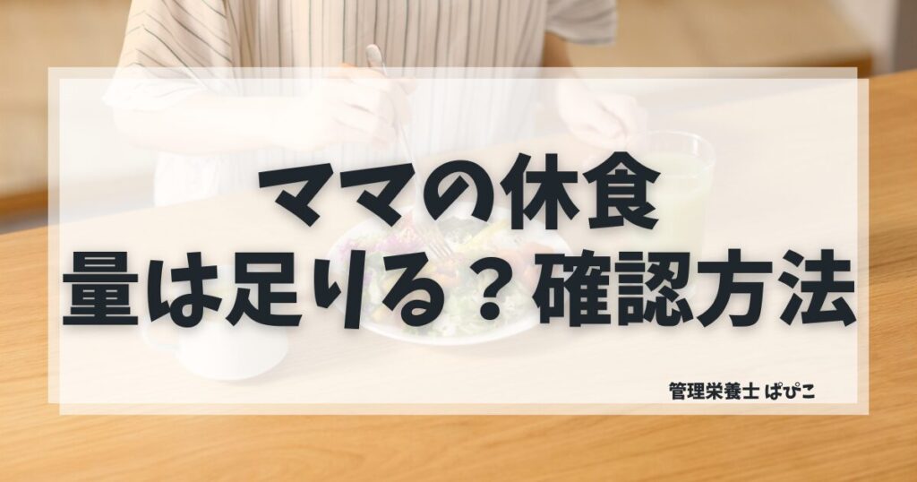 ママの休食の量は足りるか管理栄養士が正直に解説・内容量と満足度と向いている人の特徴まとめ